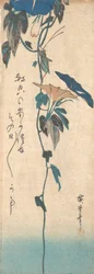 Græshoppe og Morning-glory Vine, ca. 1835., ca. 1835.
