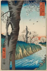 Koganei i Musashi-provinsen, designet 1858, udgivet 1858-1859