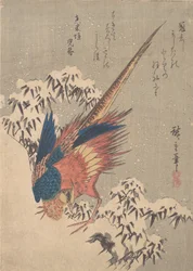 Fasan blandt snefyldt bambus på bjergsiden, ca. 1840., ca. 1840.