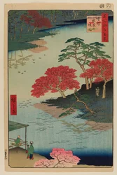 Inde i Akiba-helligdommen, Ukeji