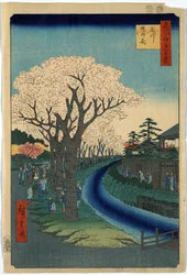 Print viser sightseere, der ser kirsebærblomster langs bredden af Tama-floden ved Edo, træsnit af Ando Hiroshige