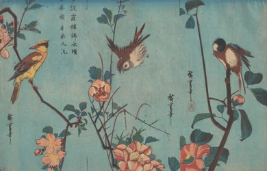 Mejser og kameliaer, spurve og vilde roser og sortnavet oriole og kirsebærblomster, ca. 1833 (træbloktryk)