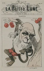 Darwin som abe på La Petite Lune