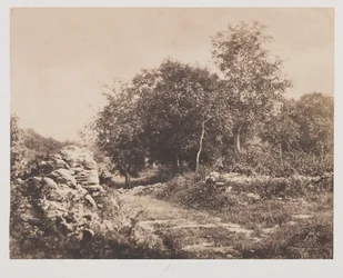 Uden titel Scene of Fontainbleau, ca. 1853.