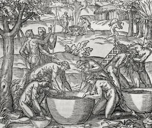 Cap de Frie, kvinder tilbereder mad, gravering, Sydamerika