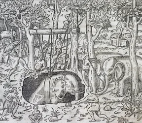 Elefantjagt på øen Java, gravering fra Universal Cosmology, af Andre Thevet (1504-1592), Paris
