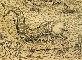 Sømonster, gravering fra Universal Cosmology, af Andre Thevet (1504-1592), Paris