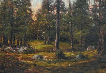 Andrea Tavernier Lysningen