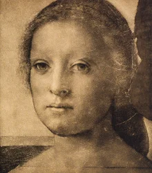 Hoved af en ung kvinde, tegning af Andrea del Sarto. Tegnestue, Uffiziernes Galleri, Firenze