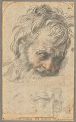 Studie til Sankt Josefs hoved (recto); to studier af ben (verso)