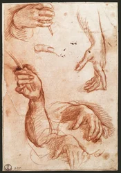 "Studie af hænder" tegnekul (charcoal)