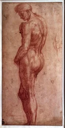 Studie af mandlig nøgen, rødkridttegning af Andrea del Sarto (1480-1530). 16. århundrede. Paris, Louvre-museet