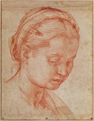 Studie af lederen af den hellige Katarina til afsættelsen med Jomfru Maria og de hellige ved Pitti-paladset, 1523-24 (rødt kridt på papir) (se 379730)