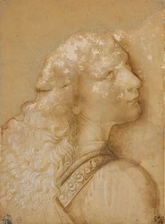 Buste af en ung mand, studere for englen fra "Kristi dåb" af Verrocchio, ca. 1475 (metalspids, okker akvarel og hvid blæk på forberedt papir lys okker)