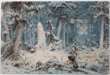 Snedækket skov