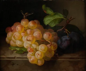 Stilleben med frugt med en bi
