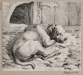 En sovende lænkehund