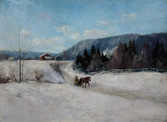 Vinterlandskab ved Skaugum bakke