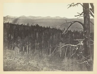 Sne- og tømmerlinje, Medicine Bow Mountain