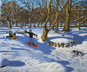 Red sledge, Lomberdale Hall, Derbyshire, 2014,