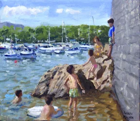 klatreklipper, Tenby Havn, 2016,