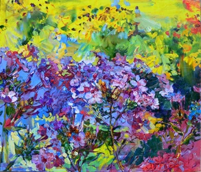Farverig blomsterhave