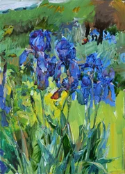 Levende blå iris