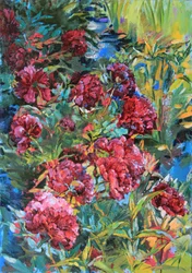Farverige blomster i haven