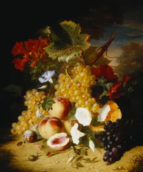 Fersken, druer, en melon, kramper og andre blomster i et landskab,