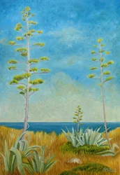 Agave ved havet