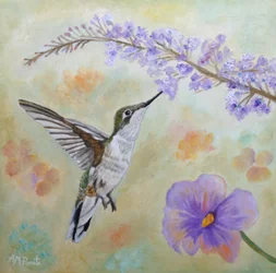 Kolibri og lavendel