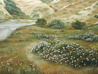 Vilde blomster ved River Bend