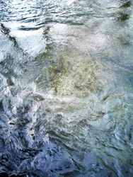 Klar vandgennemstrømning