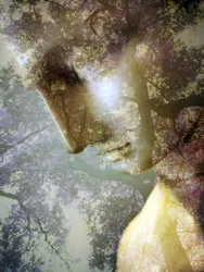 Ethereal Forest-profil