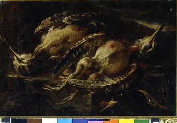 Stilleben af fugle. Maleri af Angelo Maria Crivellone (? - 1730/60?). Milano, CRA.