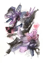 Stemningsfuld blomsterskitse