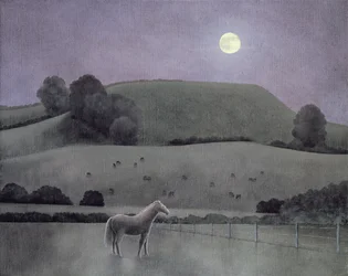 Hest i måneskin, 2005