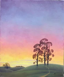 Path through the Pines, 2004