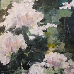 Maleriske blomster i haven