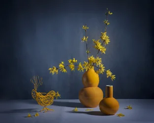 Stilleben med gylden forsythia