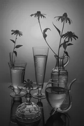 Monokrome blomster og glas