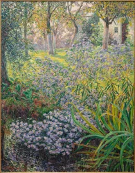 Blomster i haven