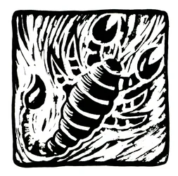 Horoskop (Skorpionen), 2017 (linnedprint)