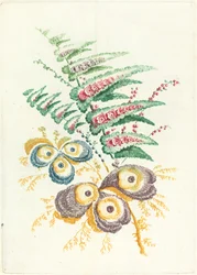 Fantastiske blomster med østersskalsblomster, ca. 1795.