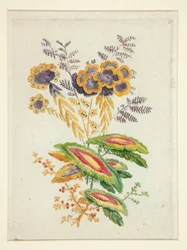 Fantastiske blomster fra New Suite of Notebooks of Ideal Flowers til brug for designere og malere