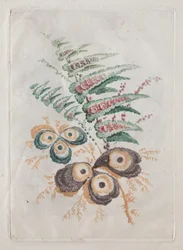 Ny pakke med porteføljer af blomster, der er ideelle til brug til design og maling: blomsterfantasier