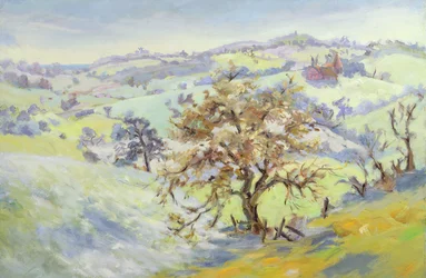 Fra Udimore mod Peasmarch, Sussex, om vinteren