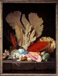Hav Panaches Stilleben med skaller. Maleri af Anne Vallayer Coster (1744-1818) 1769 søn. 1,3x0,97 m