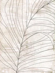 Minimalistiske botaniske linjer
