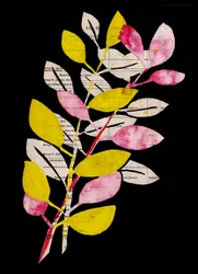Rosa og gul botanisk collage